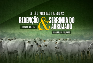 LEILÃO VIRTUAL FAZENDAS REDENÇÃO & SERRINHA DO ARROJADO